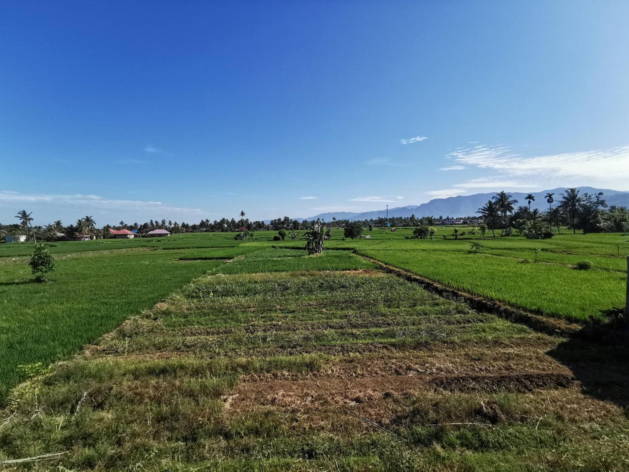 Mila Homestay Padang  Exterior photo